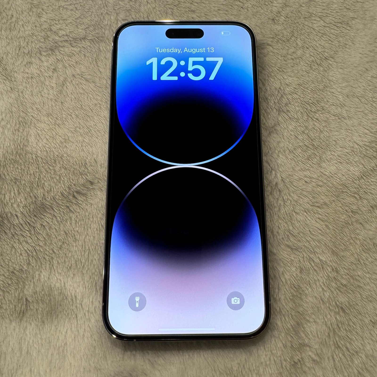 Apple iPhone 14 Pro Max 256GB Unlocked Silver White