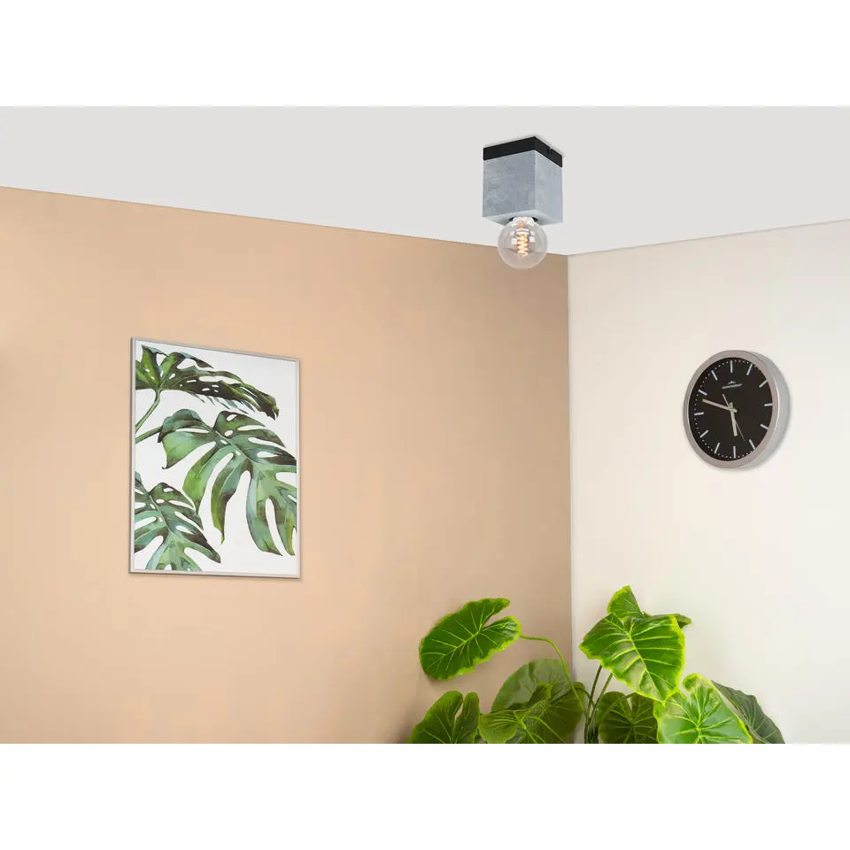 EGLO Prestwick 3 Plafonni&egrave;re - E27 - Staal - Zwart/Grijs