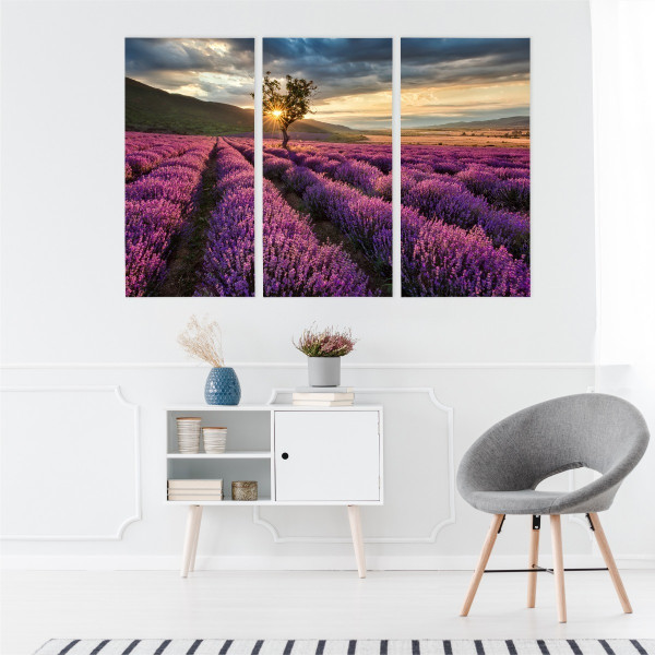 Obraz Tryptyk Pole LAWENDY Słońce Pejzaż 3D 60x40cm