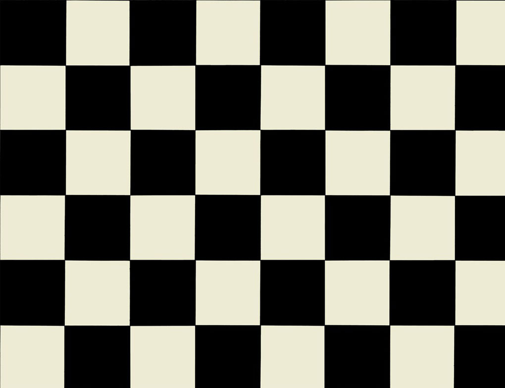 PVC Altenburg Schwarz-Weiß