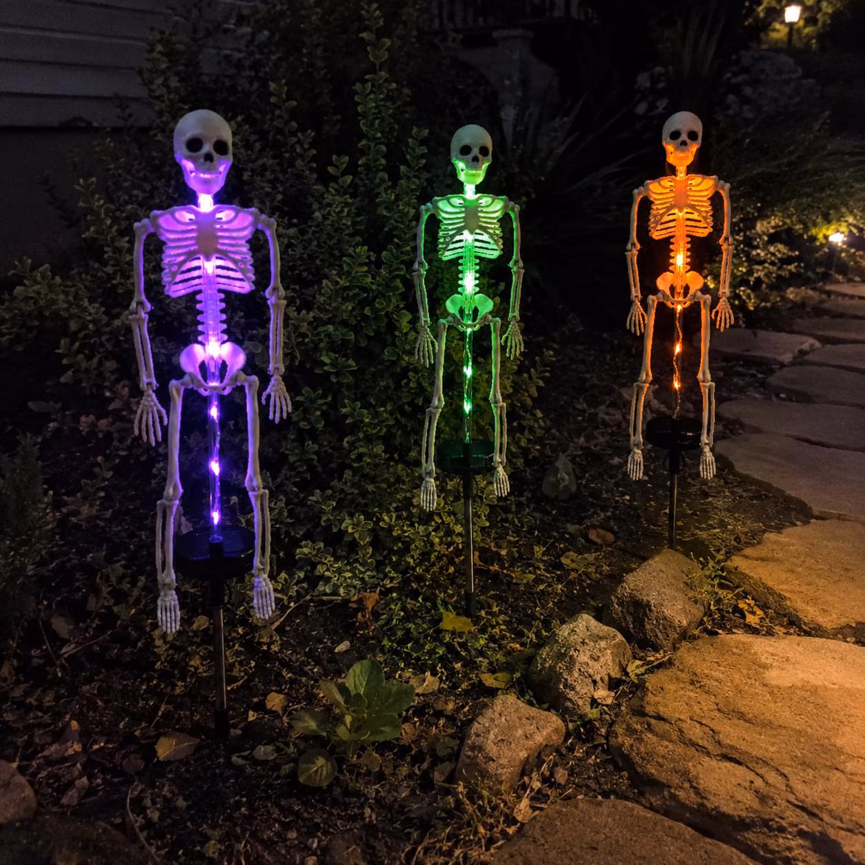Solar Skeleton Garden Stake Light for Halloween Lovers, Spooky Outdoor Yard Decor in Purple, Green or Orange Glow