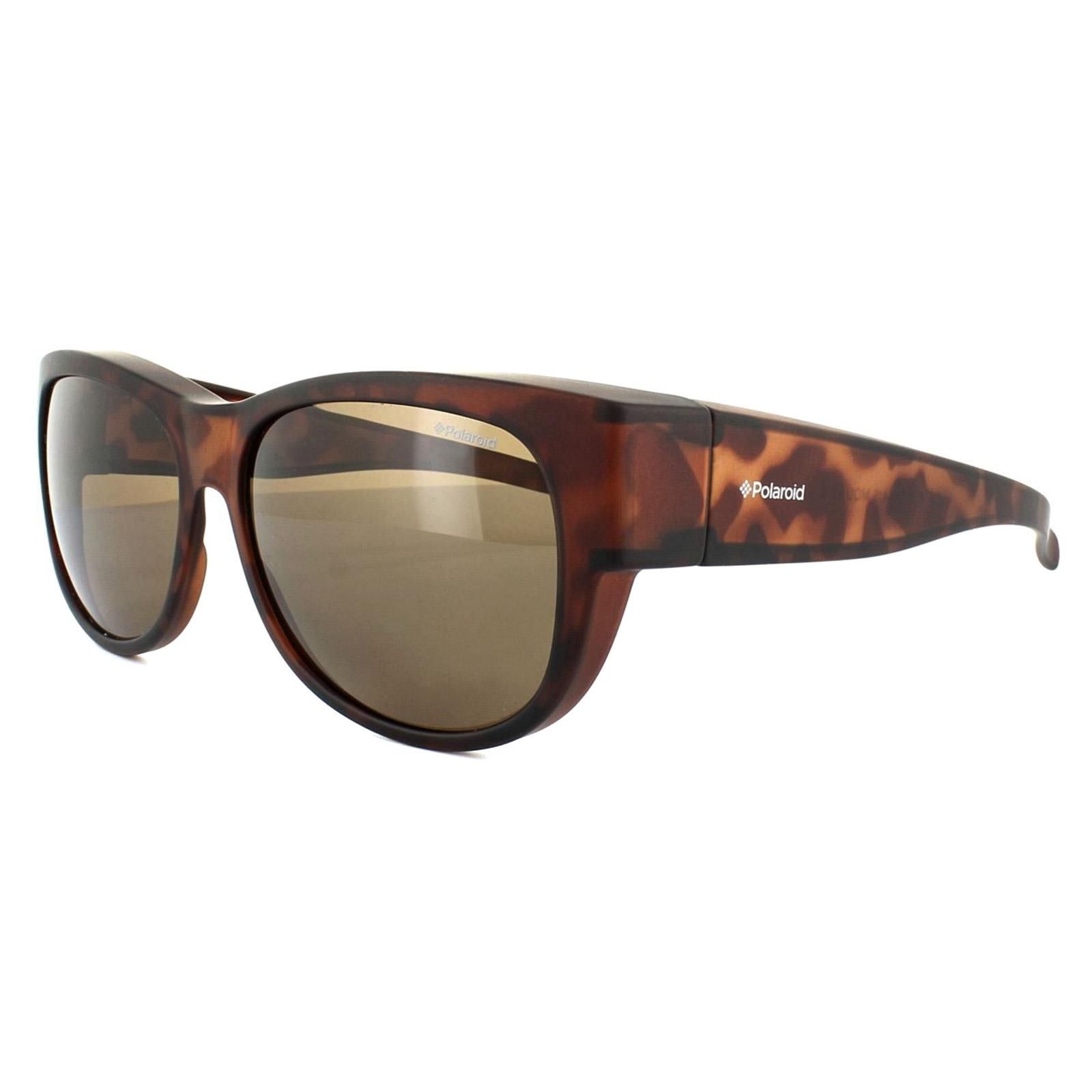 Polaroid Suncovers Oval Dark Havana Brown Polarized Sunglasses