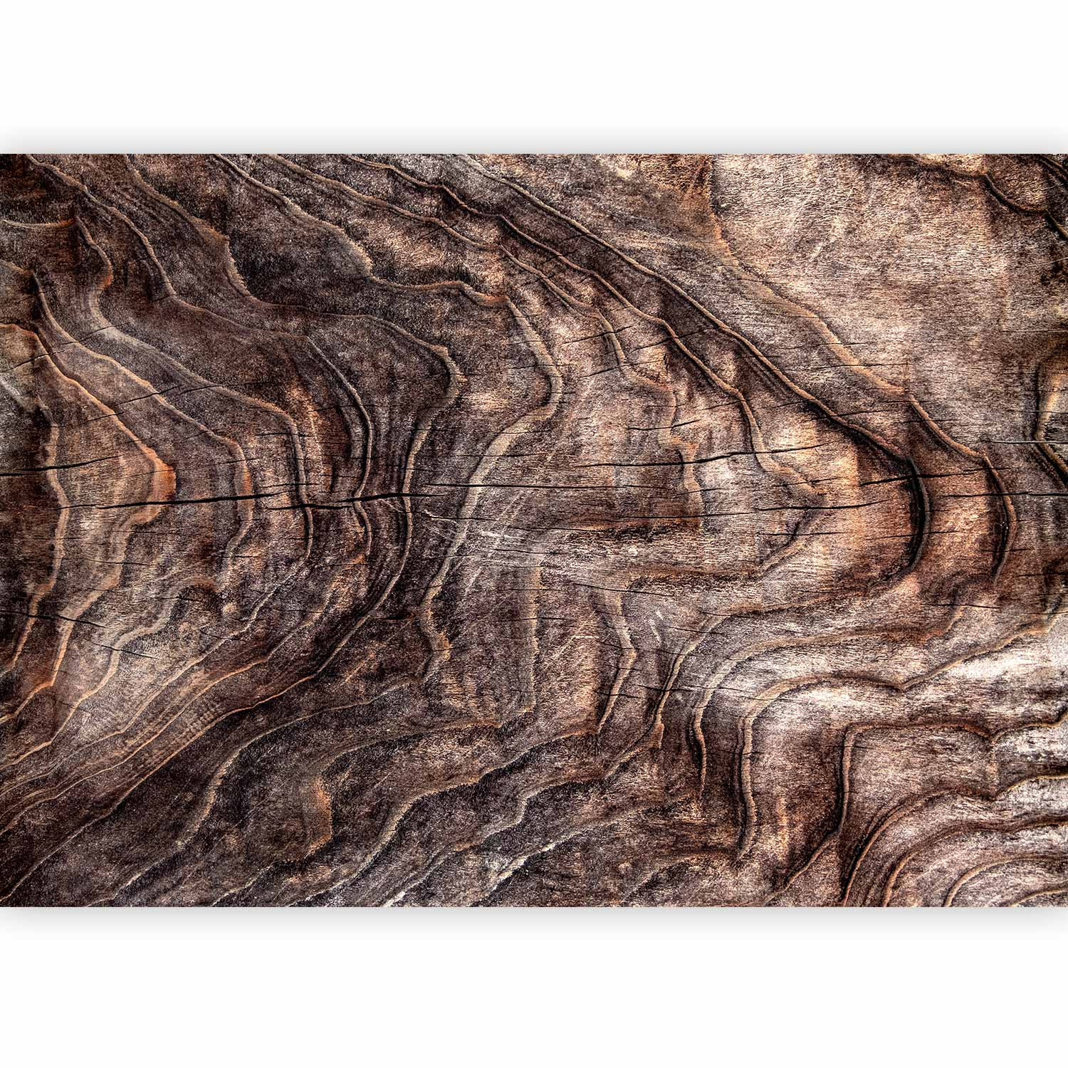 Fototapeta flizelinowa Artgeist 110g/m2 rolka 1 szt