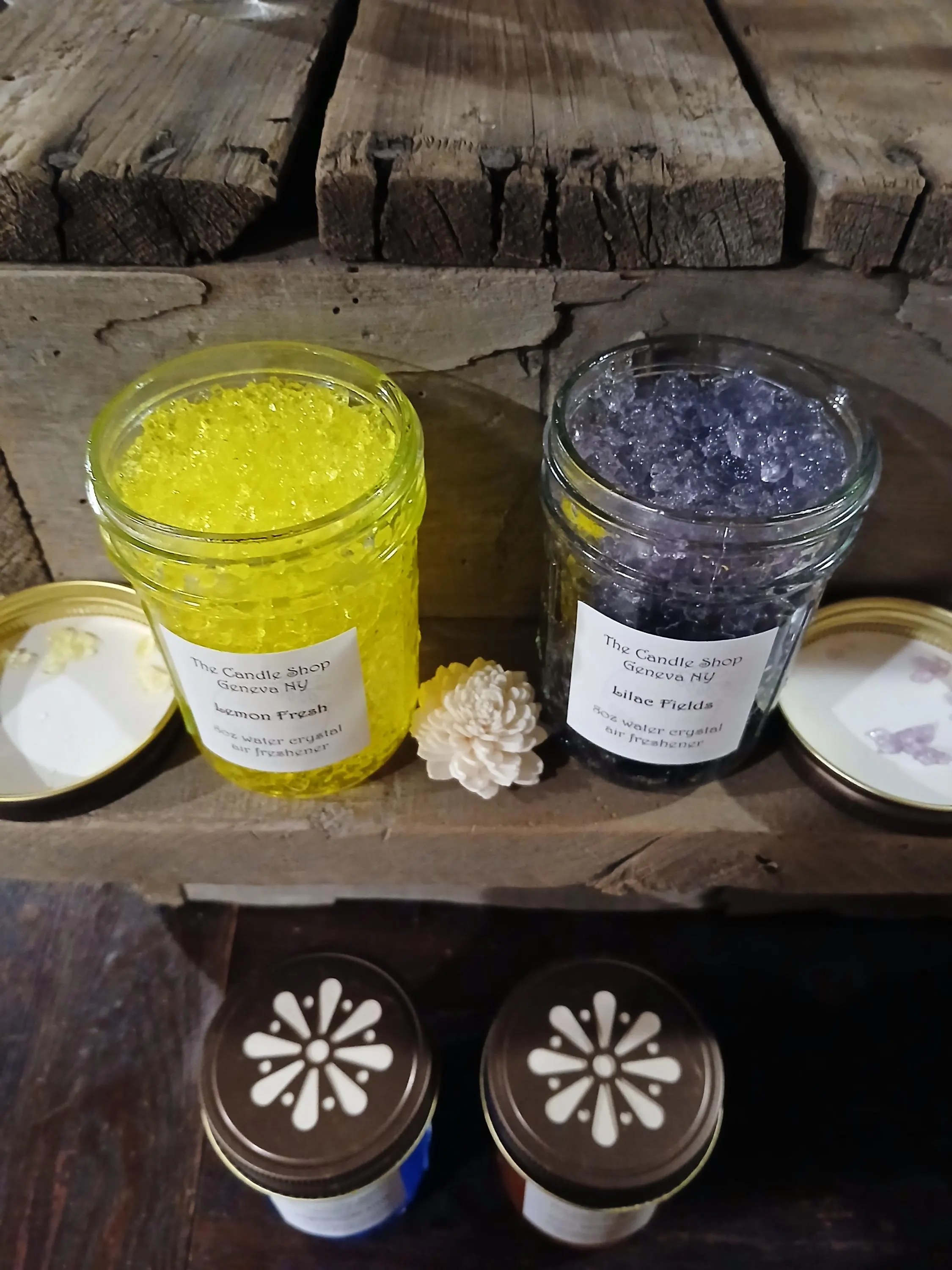 8oz Smelly Jelly/You choose/Air Freshener/Small College Room Air Freshener/Teen Small Room Air Freshener