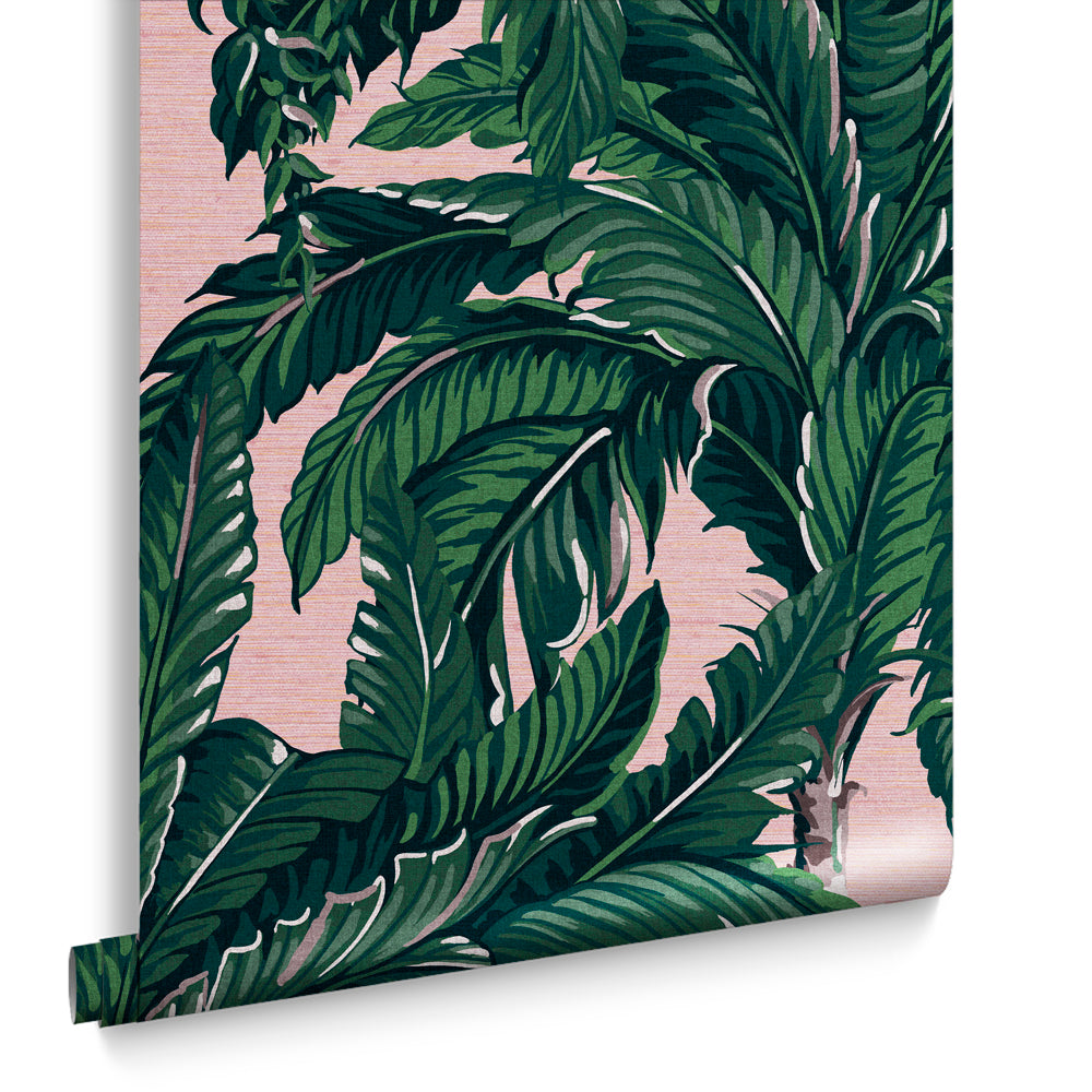 Graham & Brown Vliesbehang - Daintree Palm Blush - 10mx52cm