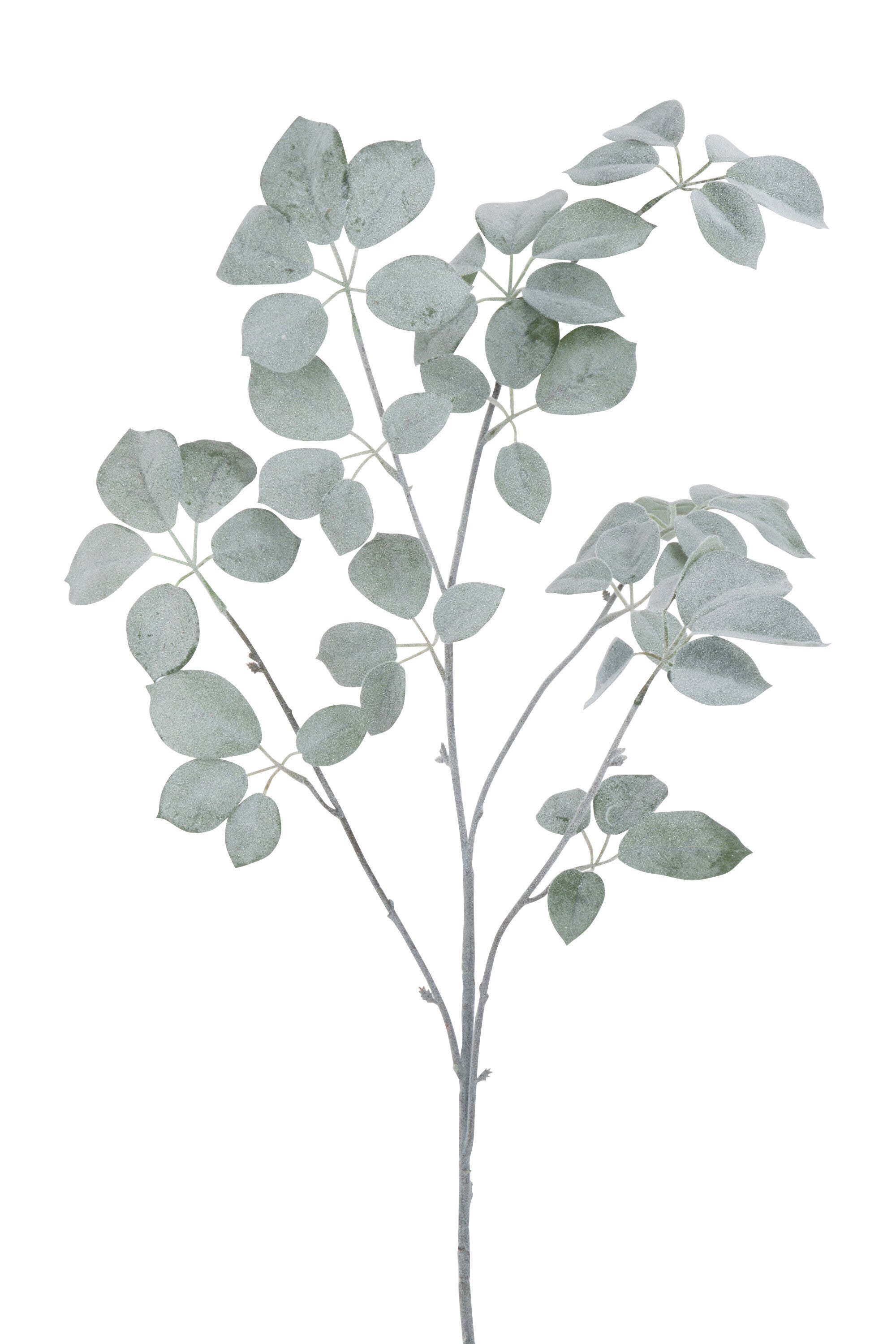 J-Line decoratie Tak Schefflera Gevlokt - kunststof - groen - 6 stuks