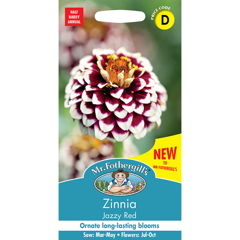 Guldzinnia 'Jazzy Red'