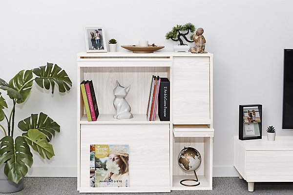Iris Ohyama, Meuble, étagère, Bibliothèque de rangement, Avec 4 portes, FR-F4 Chêne Blanc, L33.8 x P89 x H90 cm