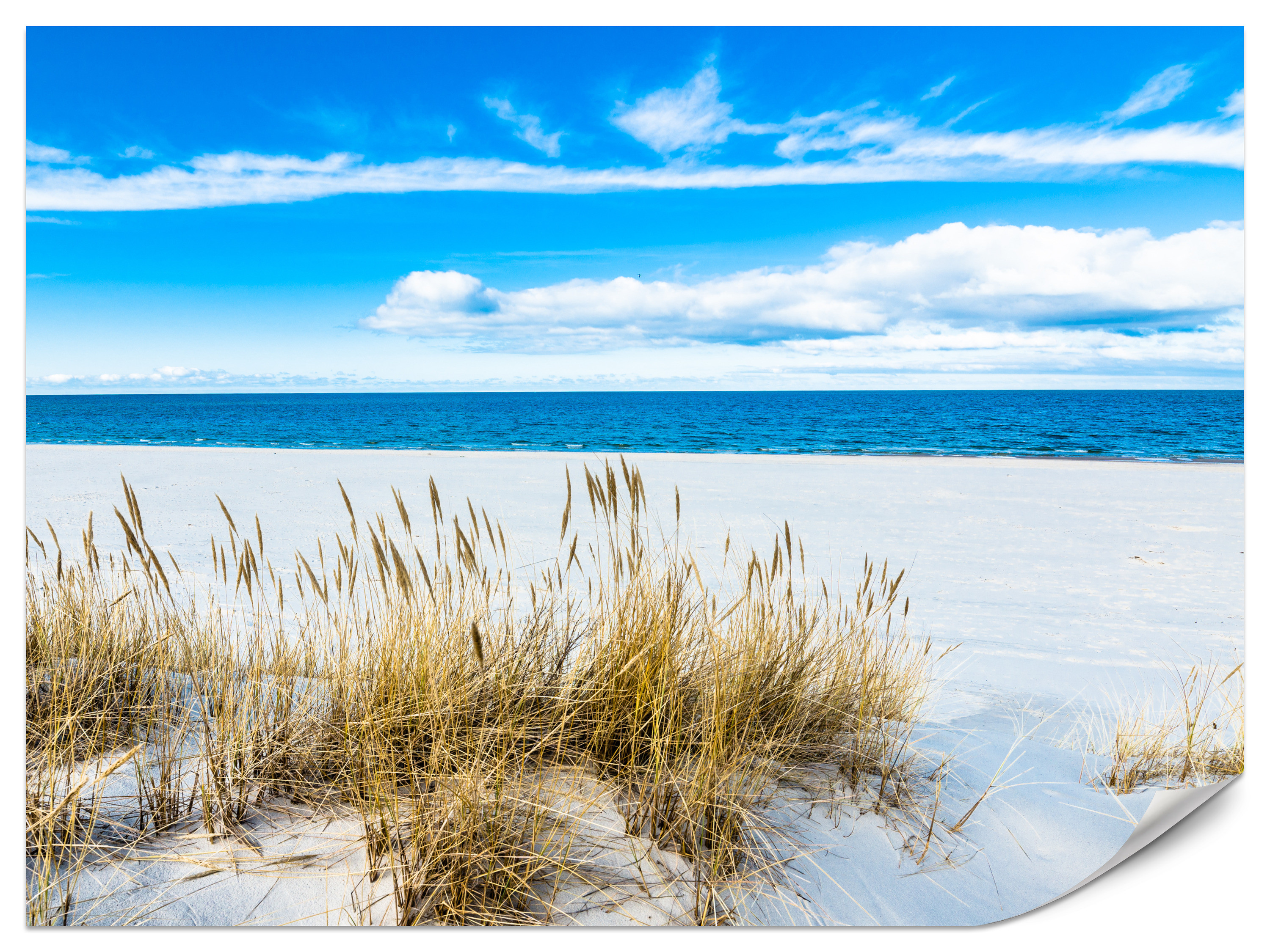 Fototapeta Krajobraz słonecznej plaży 100x70cm