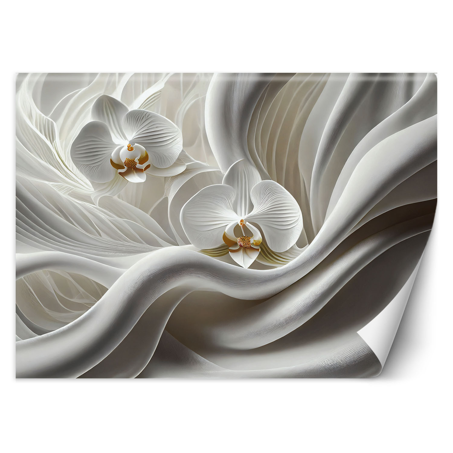 Feeby Fototapeta, Biała orchidea i abstrakcja 3D 150x105