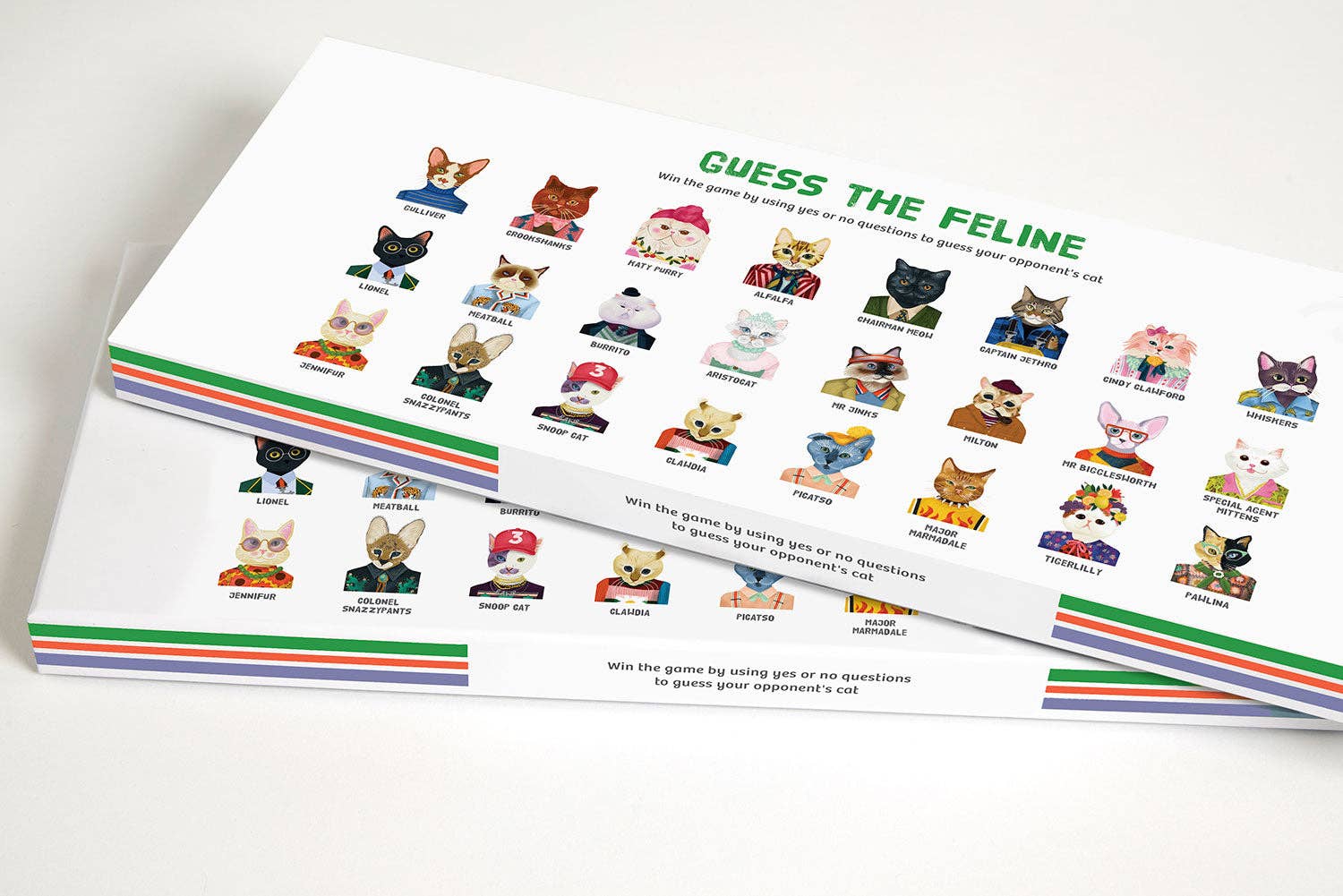 Guess The Feline Card Game