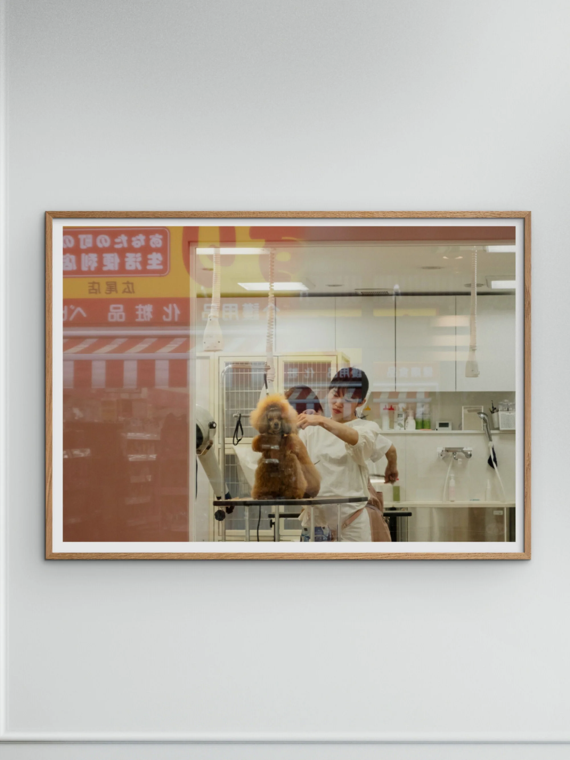 Poster Salon