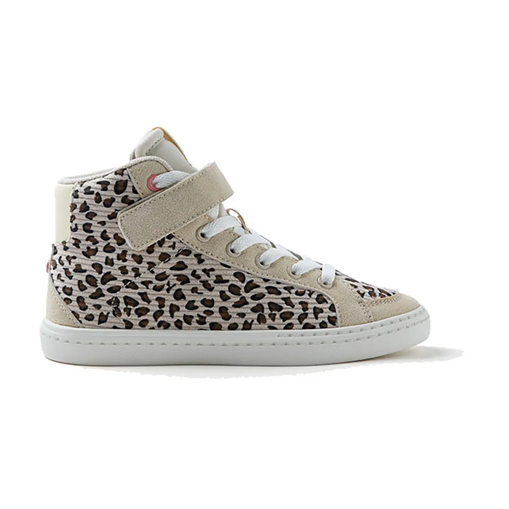 Gioseppo Kilkeny trainers