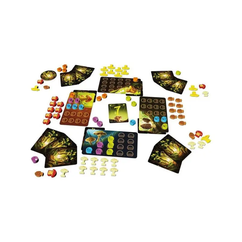 Brettspiel Schätze des Waldes