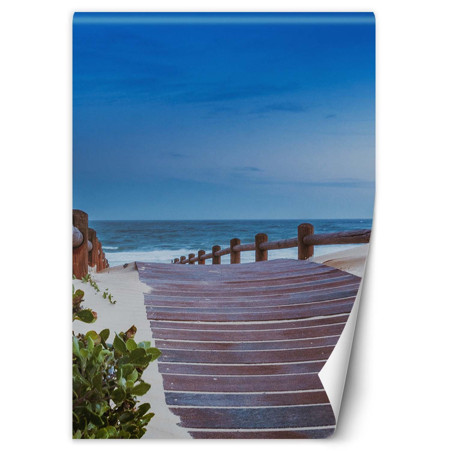 Feeby Fototapeta, Droga na plaże 100x140