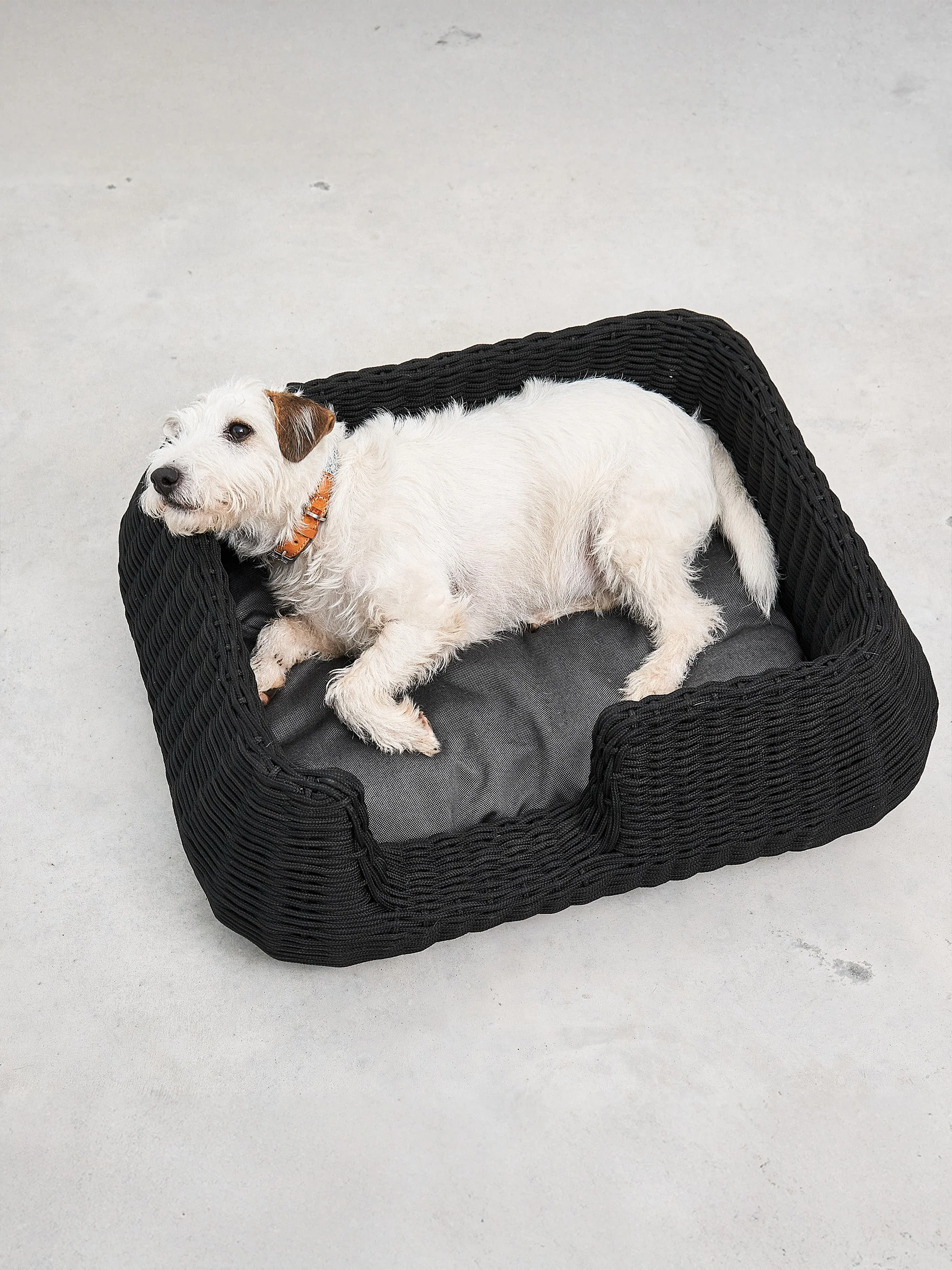 In- & Outdoor-Hundebett Mio