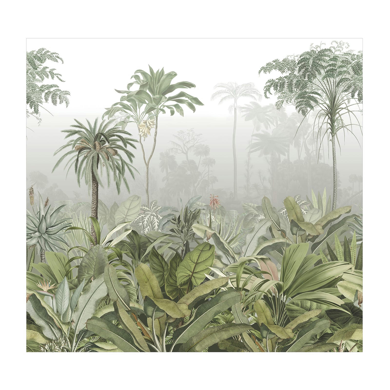 - fresque panoramique brume tropicale vert 300x280cm