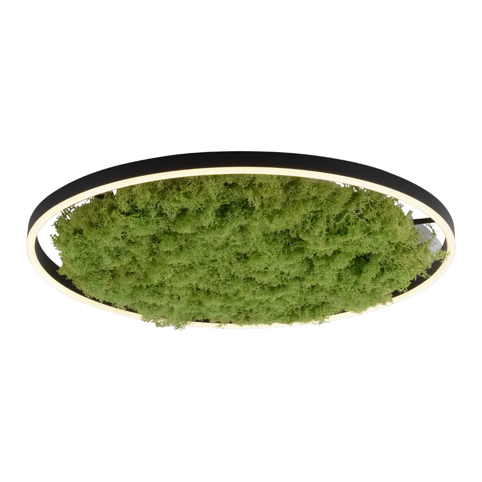 5in1 Solarleuchte Green Ritus