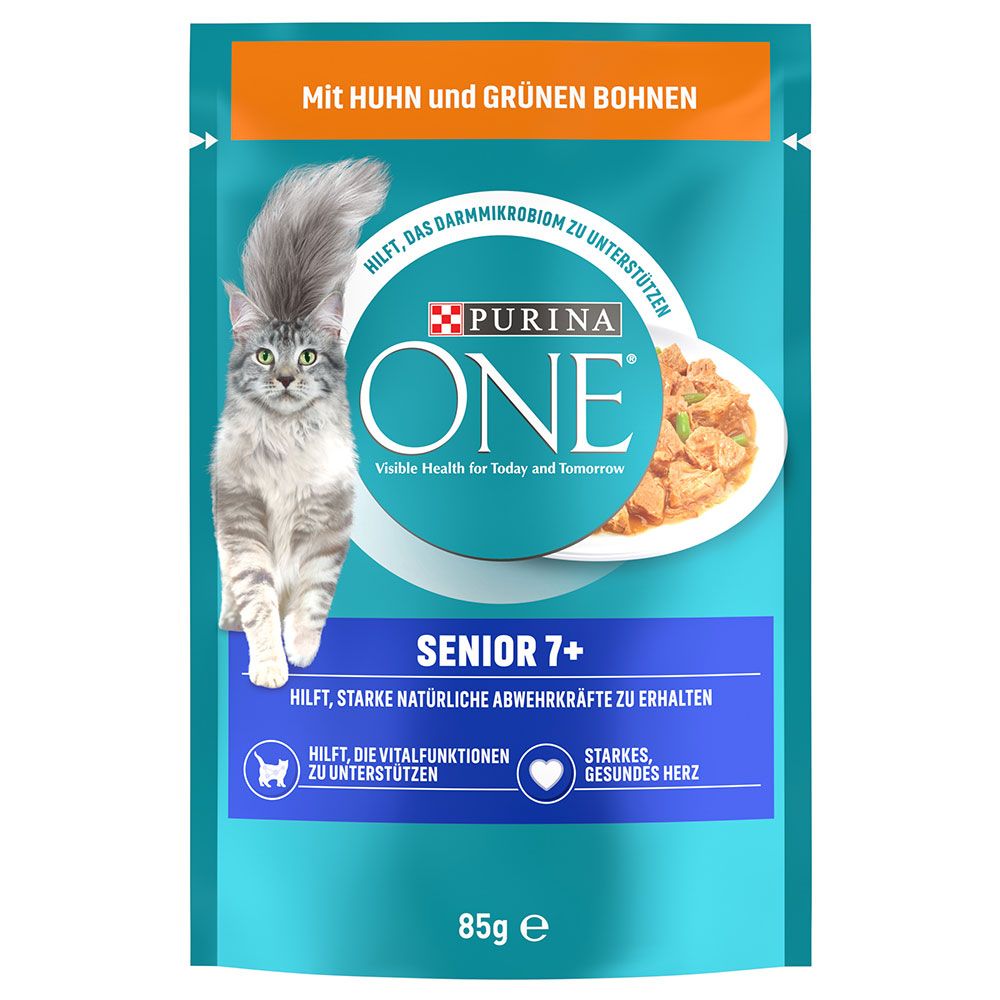 PURINA ONE Senior 7+