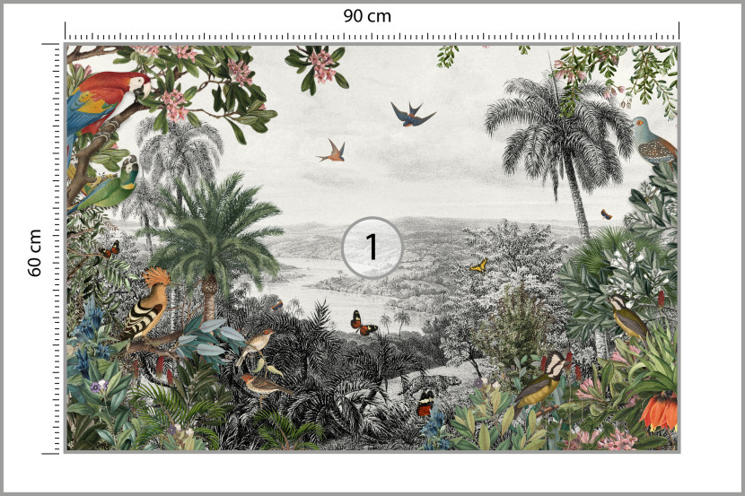 Fototapeta Do Jadalni Tropikalne Ptaki 90x60cm