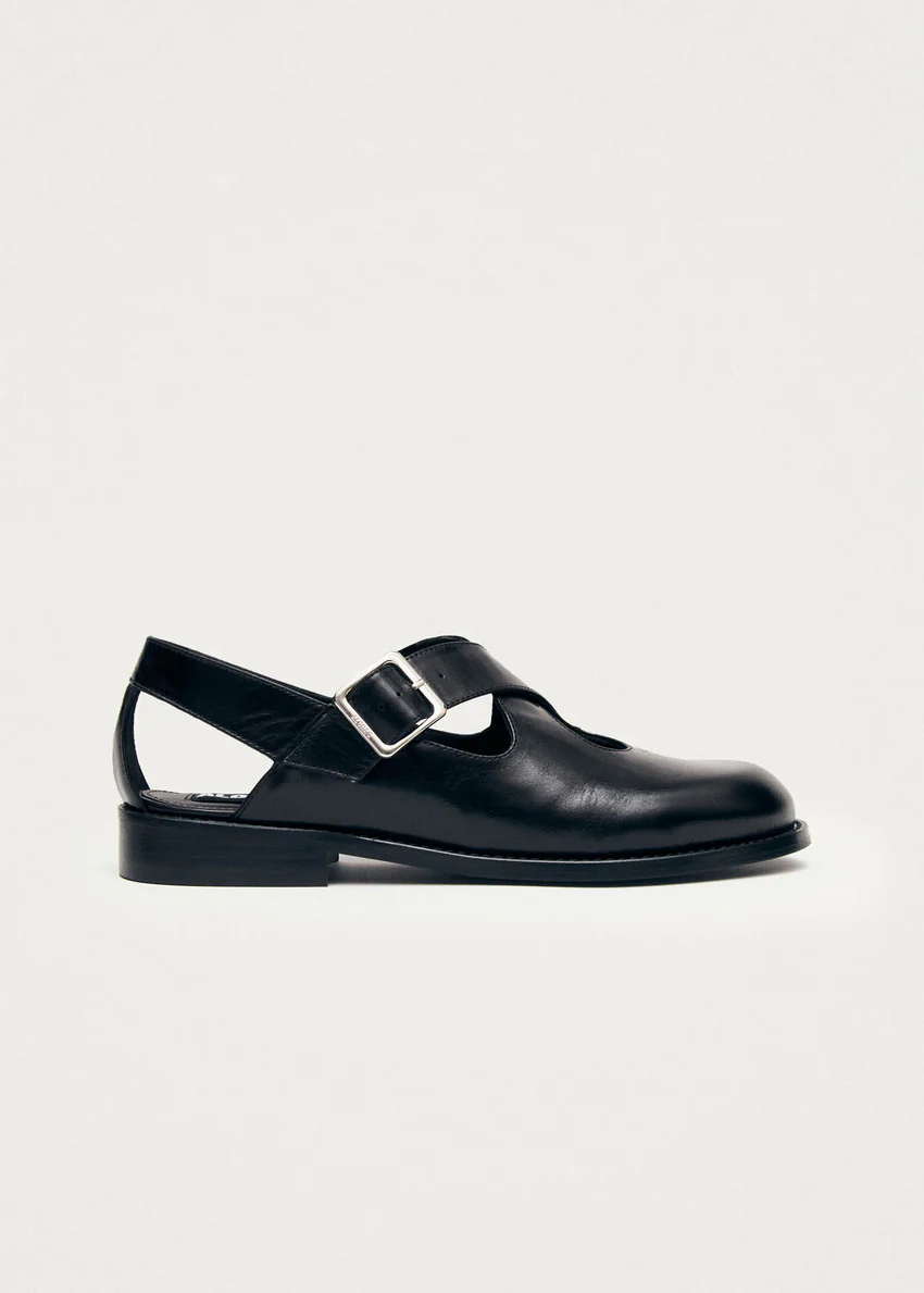 Marion Black Leather Ballet Flats