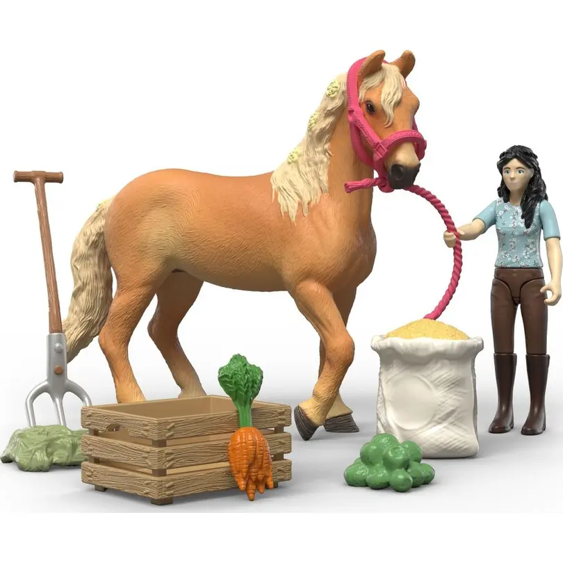 Spielset Horse Club