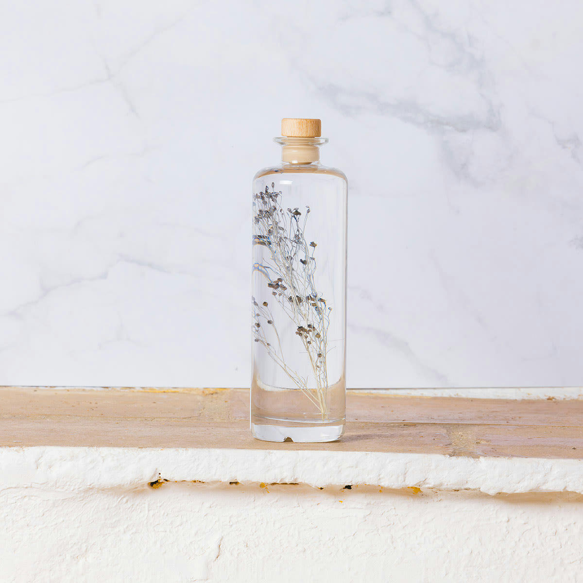 HERBARIUM DE THEOPHILE - Plante immergée Broom bleu