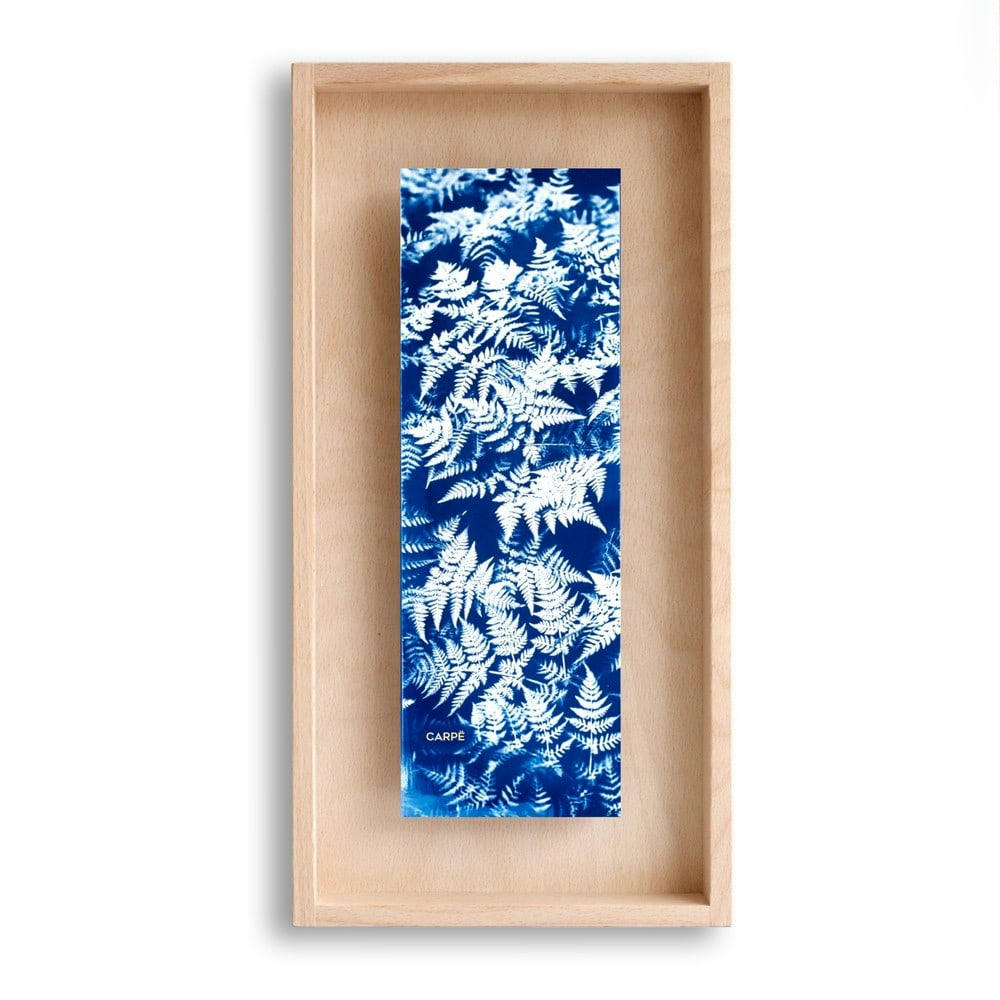 CARPË - Cadre en bois cyanotype fougères 40x20cm