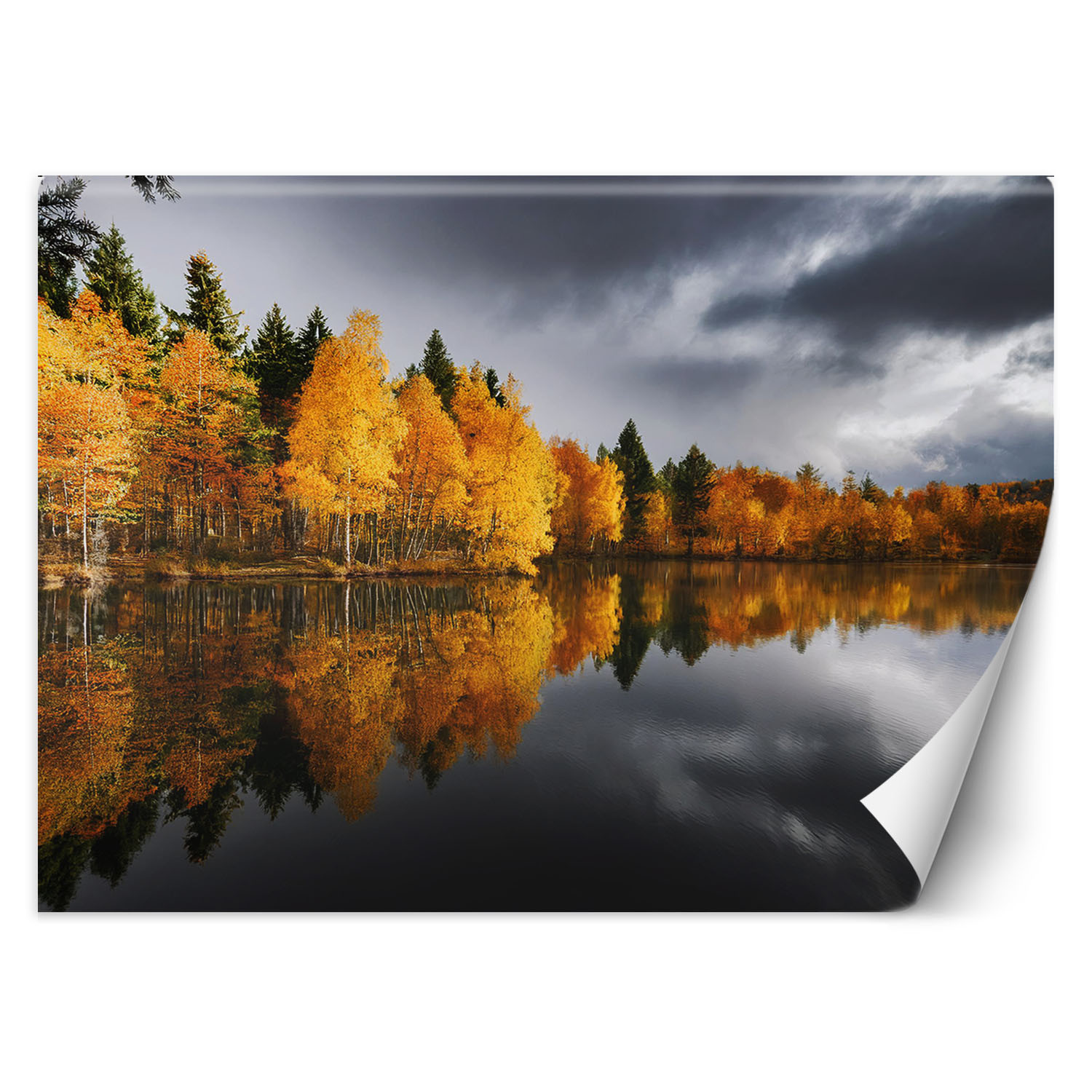 Fototapeta, Jesienny Las nad Jeziorem
