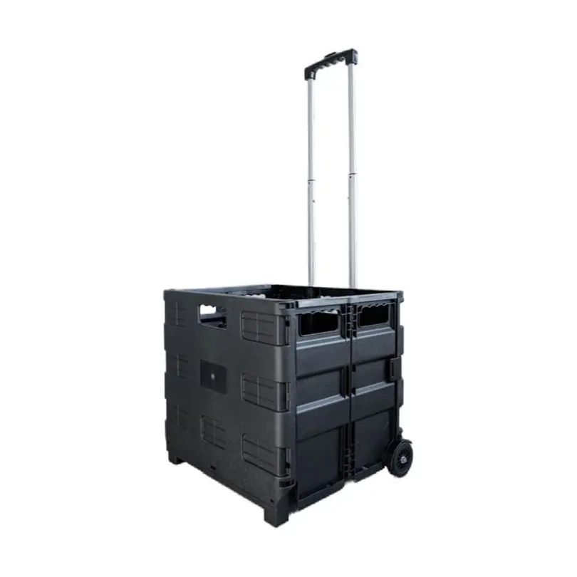 Transportroller Edi Baur