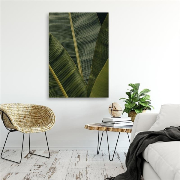 Feeby Obraz na płótnie Tropikalne liście bananowca 40x60