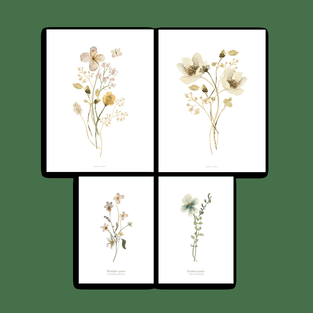 MADEMOISELLE - Lot 4 affiches enfant fleurs botaniques en papier multicolore