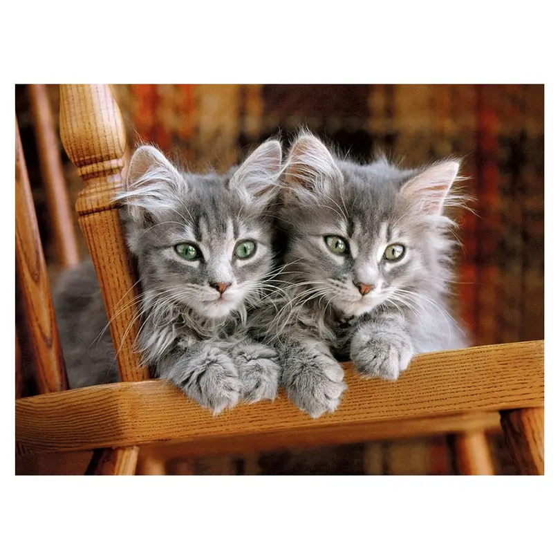 Puzzle Kittens