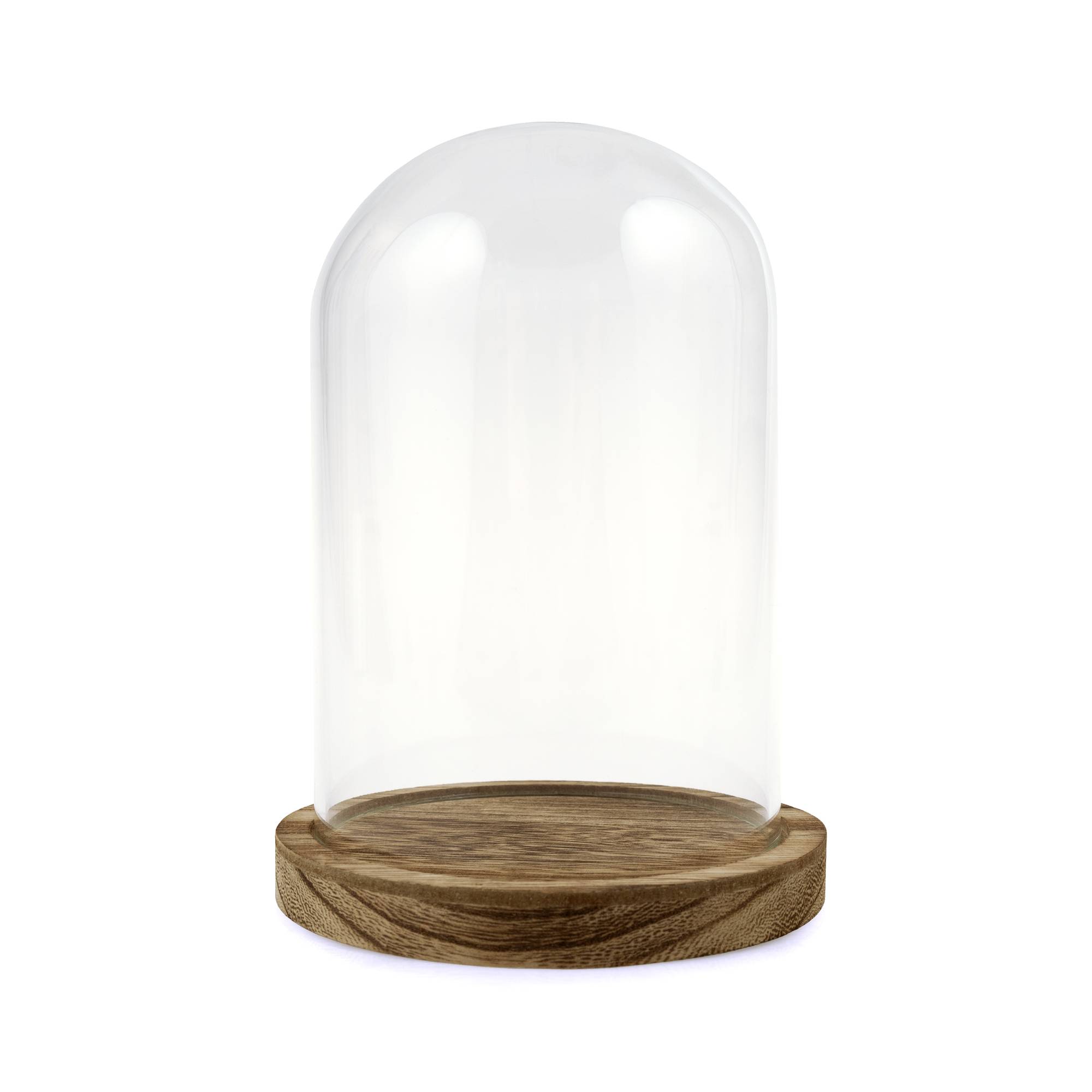 Glass Cloche with Wooden Base 12cm x 17cm