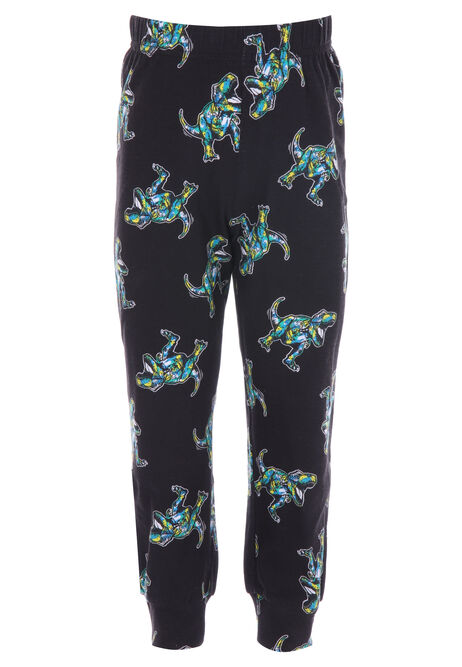 Younger Boys Cotton Dinosaur Long Pyjama Set