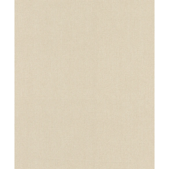 Vliestapete »Color your life«, 10,05x0,53m Uni beige
