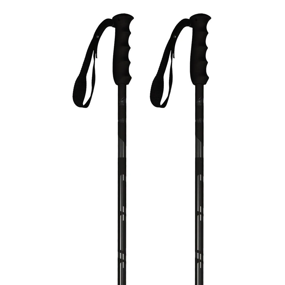 Elan Speedrod poles