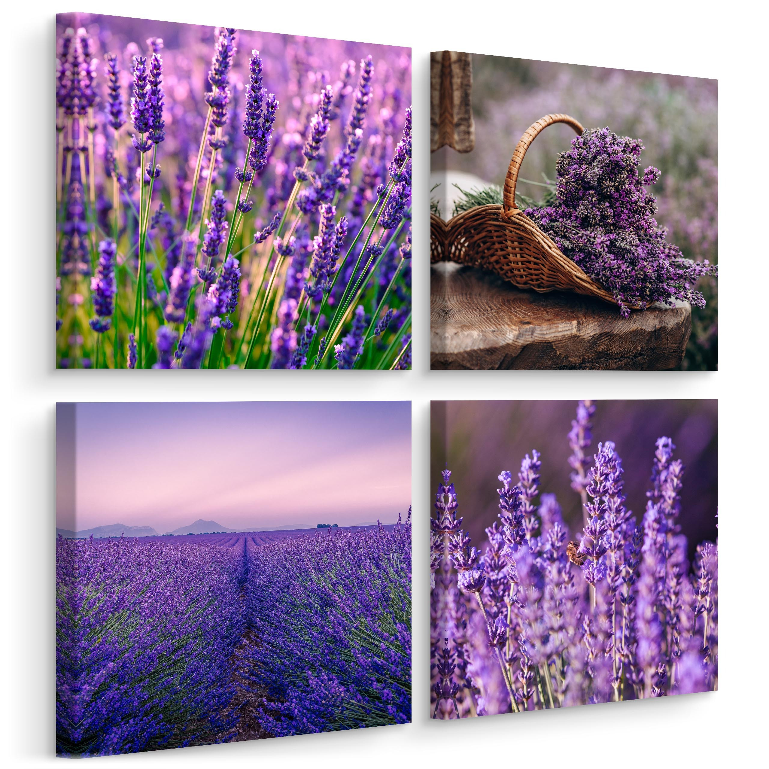 Obrazy Do Kuchni SET Kwiaty Lawendy 60x60cm