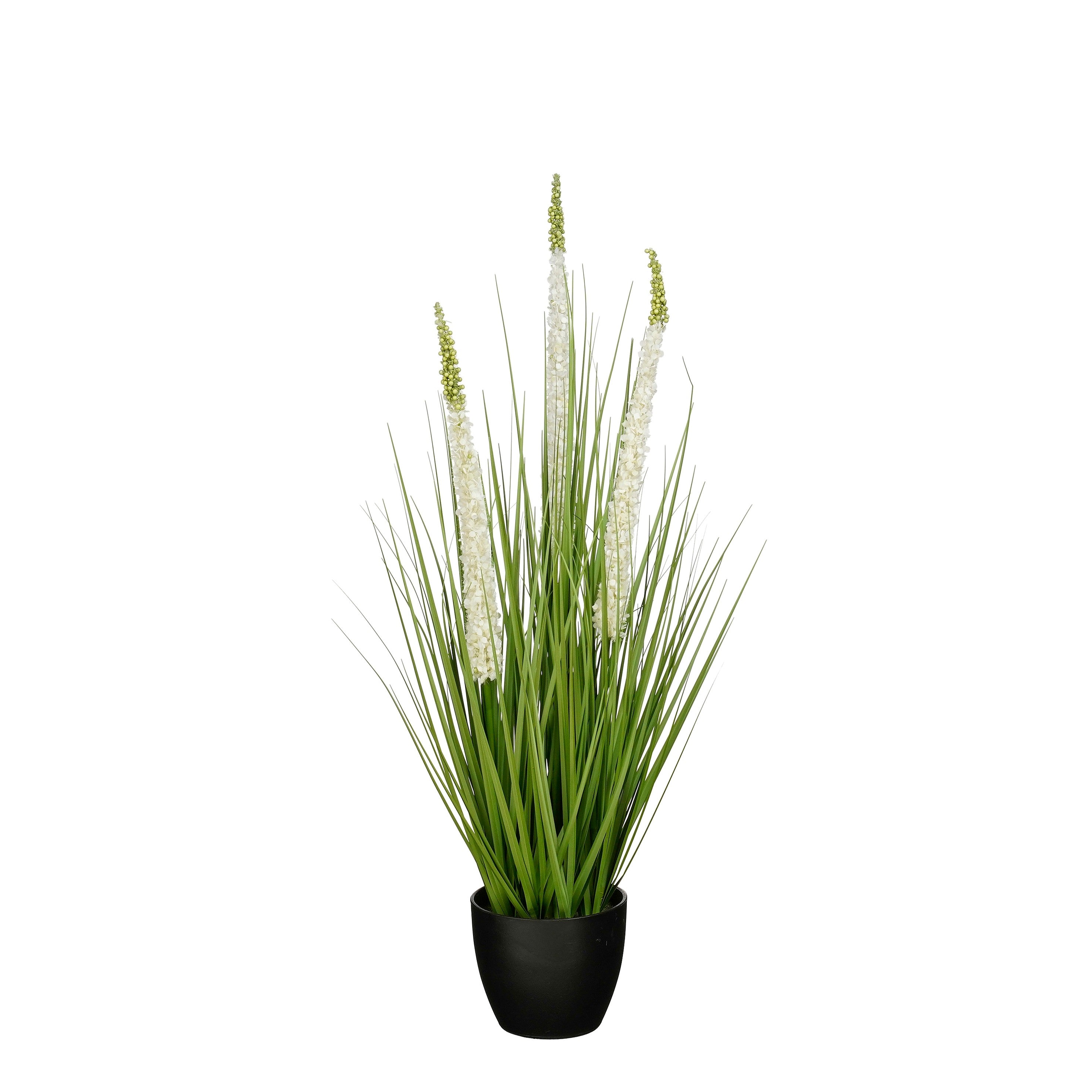 Mica Decorations Eremurus – Kunstgras in Pot – Realistische Nepplant Woondecoratie – Kunstplanten voor Binnen en Buiten – H80 x Ø25 cm – Groen, Wit