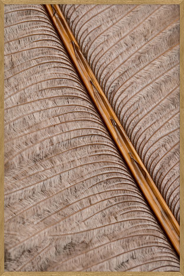 QUADRO PAPIRO I 80 CM X 1,20 M