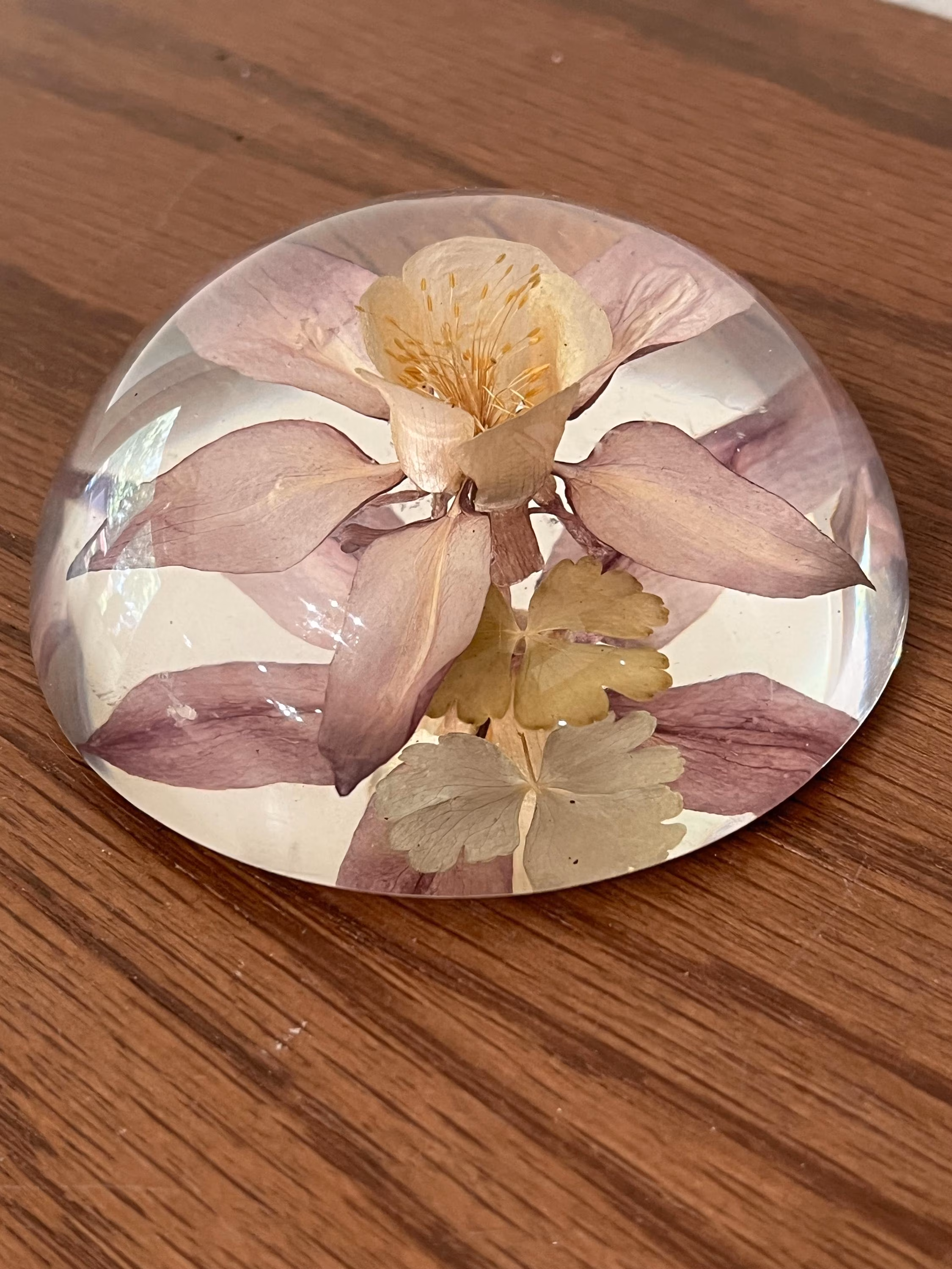 Vintage Mid-Century Lucite Columbine Flower Paperweight Dome - Preserved Real Botanical 1970s Decor