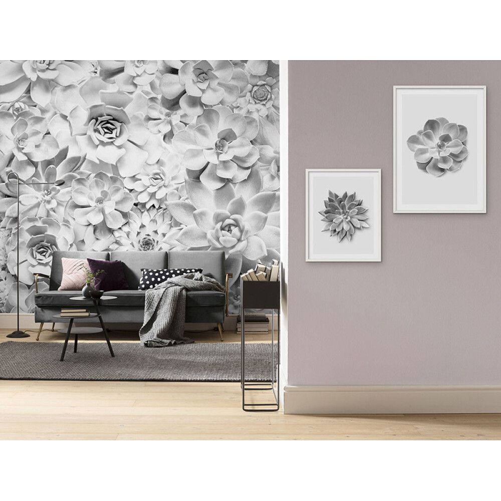 PLAKATER KOMAR SUKKULENTNÆRBILDE 50X70CM