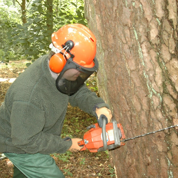 Forsthelm, Individuell einstellbar, orange