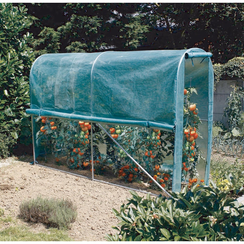 Serre tunnel Tomato Greenhouse 300 x 100 x 200 m NORTENE