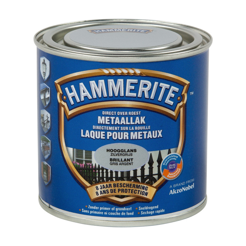 Laque antirouille pour métaux argent brillante 0,2 L HAMMERITE
