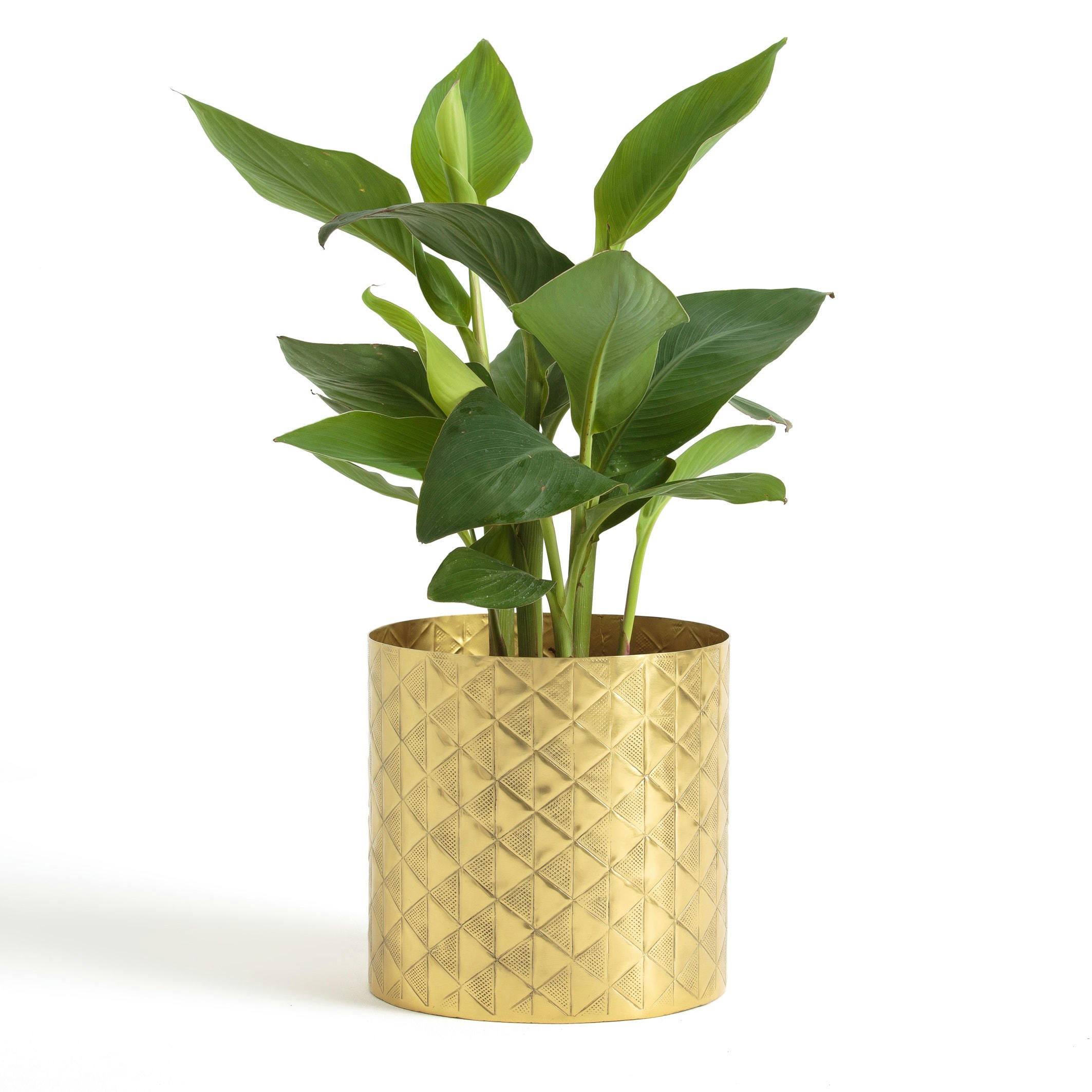 Cache-pot laiton Ø30 cm ERLEDUR