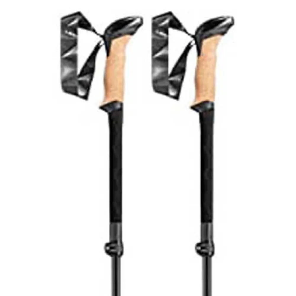 Leki Black Series FX Carbon poles