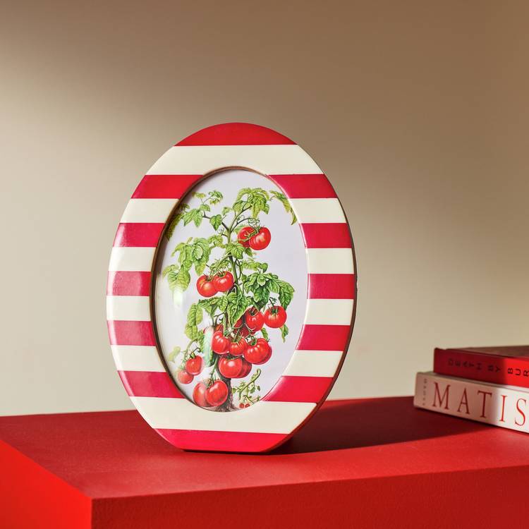 Habitat Striped Oval Red Resin Picture Frame - 4x6"
