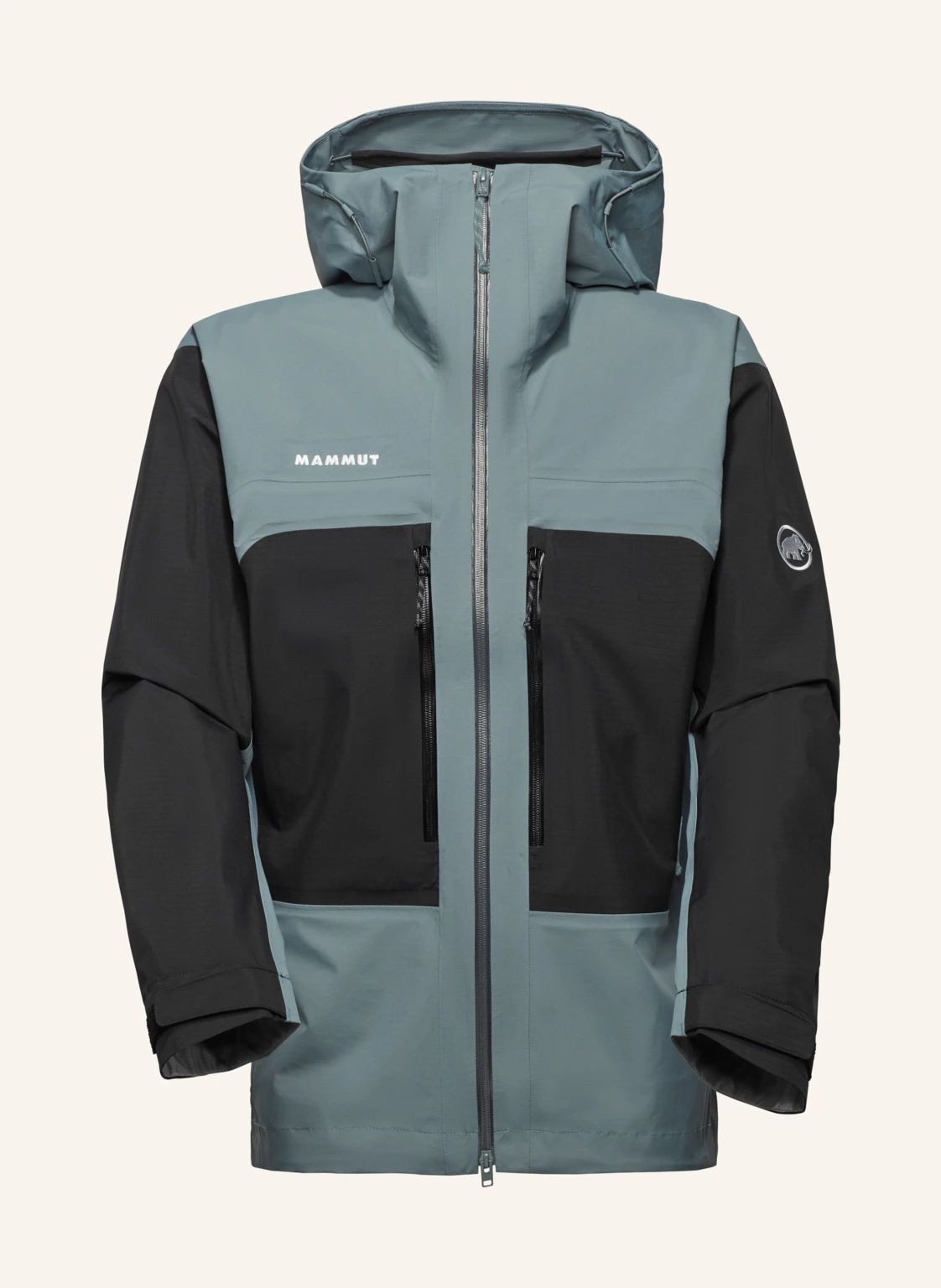 MAMMUT Taiss HS Hooded Jacket Men