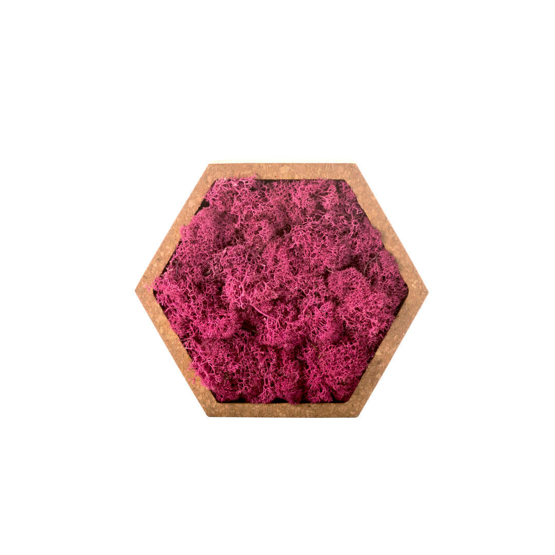 - Tableau végétal hexagonal lichen rose 16 x 16 cm